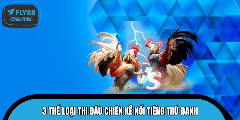 3 thể loại thi đấu chiến kê nổi tiếng trứ danh