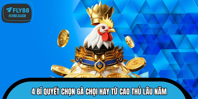 4 Bí Quyết Chọn Gà Chọi Hay Từ Cao Thủ Lâu Năm
