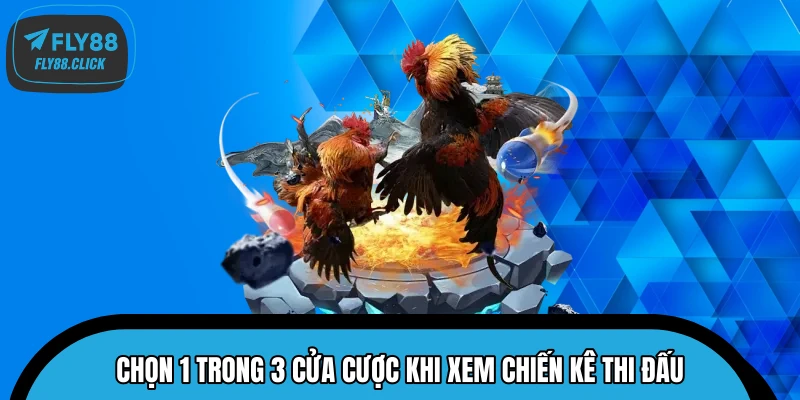 Chọn 1 trong 3 cửa cược khi xem chiến kê thi đấu