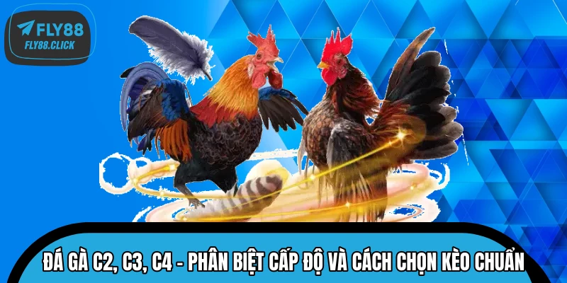 Giải mã khái niệm các cấp độ giải đấu đá gà C2, C3, C4