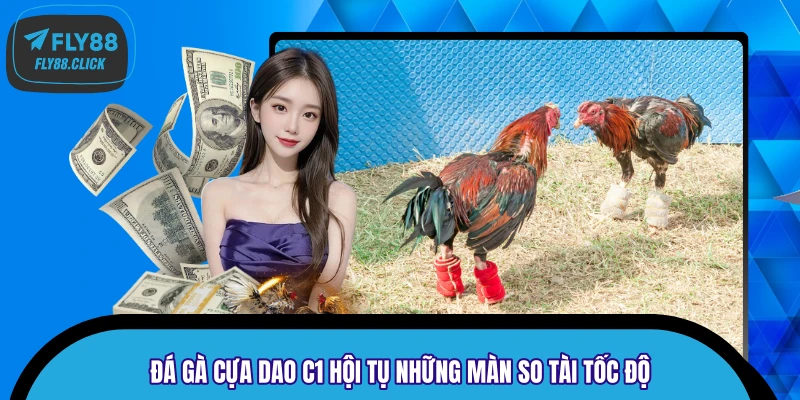 Đá gà cựa dao C1 hội tụ những màn so tài tốc độ