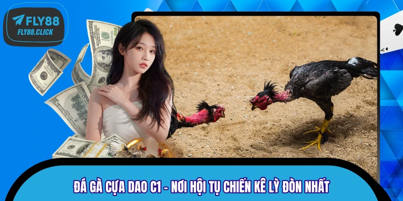 Đá Gà Cựa Dao C1 – Nơi Hội Tụ Chiến Kê Lỳ Đòn Nhất