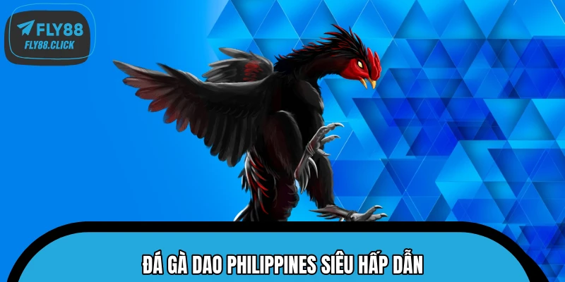 Đá gà dao Philippines siêu hấp dẫn