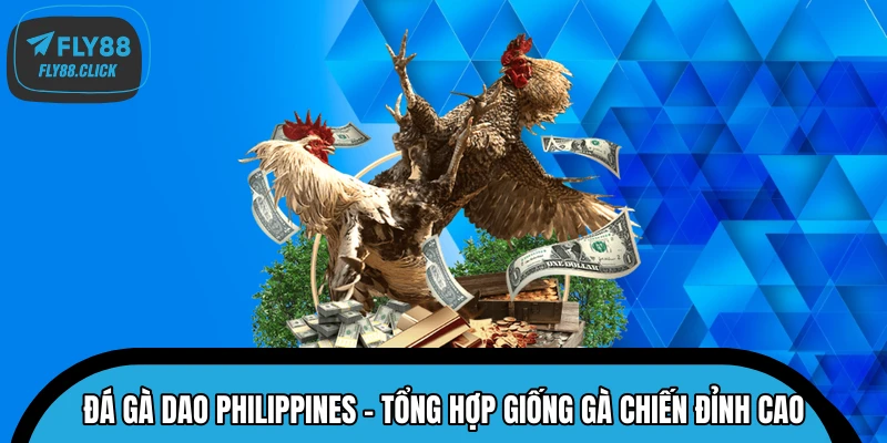 Đá Gà Dao Philippines – Tổng Hợp Giống Gà Chiến Đỉnh Cao