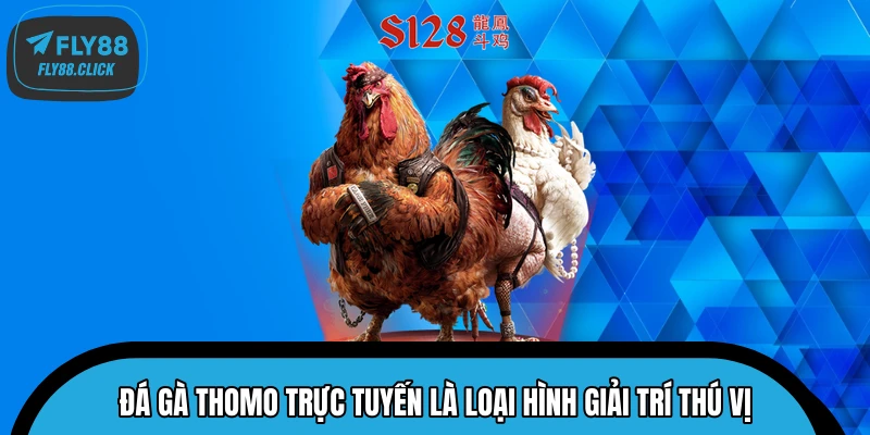 Đá gà Thomo trực tuyến là loại hình giải trí thú vị