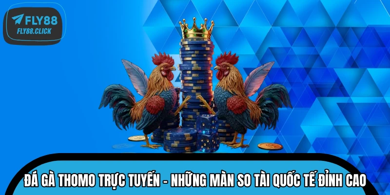 Đá Gà Thomo Trực Tuyến - Những Màn So Tài Quốc Tế Đỉnh Cao