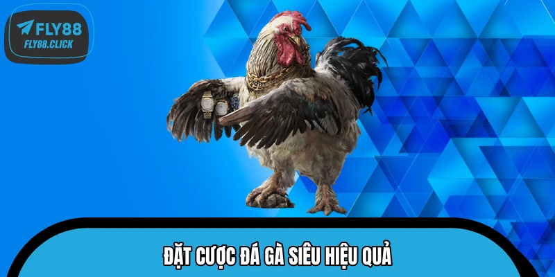 Đặt cược đá gà siêu hiệu quả