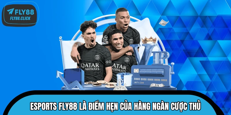 Esports FLY88 là điểm hẹn của hàng ngàn cược thủ