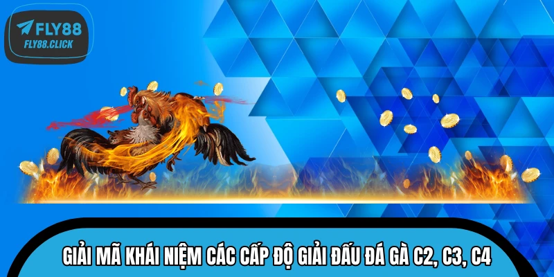 Đá Gà C2, C3, C4 - Phân Biệt Cấp Độ Và Cách Chọn Kèo Chuẩn
