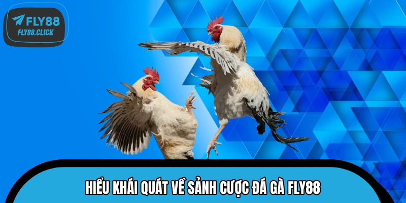 Hiểu khái quát về sảnh cược đá gà FLY88