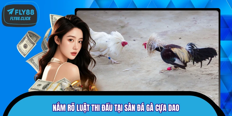 Nắm rõ luật thi đấu tại sàn đá gà cựa dao