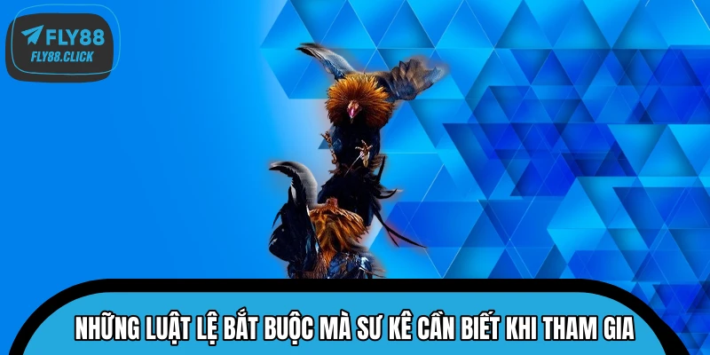 Những luật lệ bắt buộc mà sư kê cần biết khi tham gia