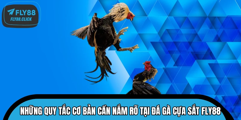 Những quy tắc cơ bản cần nắm rõ tại đá gà cựa sắt FLY88