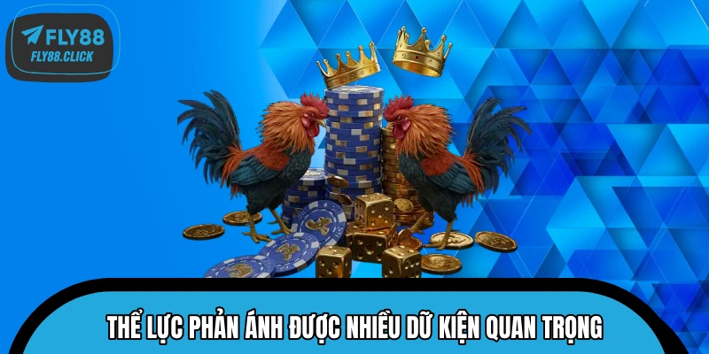 Thể lực phản ánh được nhiều dữ kiện quan trọng