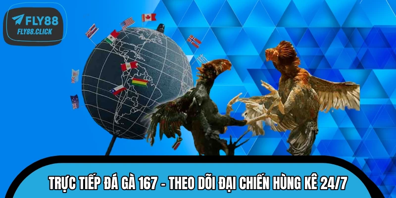 Trực Tiếp Đá Gà 167 – Theo Dõi Đại Chiến Hùng Kê 24/7